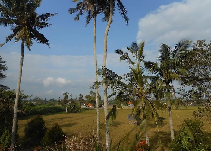 Goddess Ubud